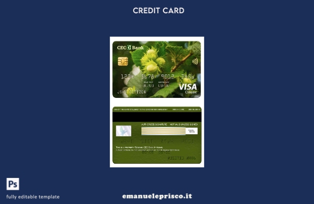 modello di carta classica per visto Romania CEC Bank in stile verificato